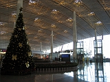 Beijing International Airport Christmas Tree